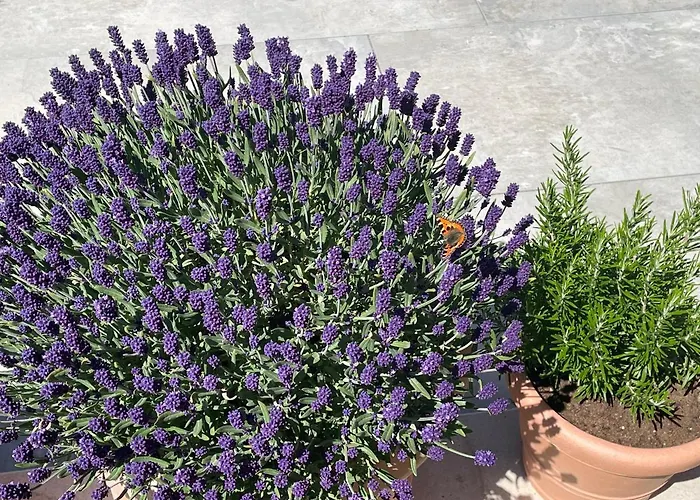 Bergleben * Шладминг